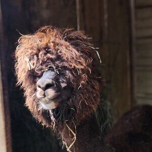 Meet your Posher, Tammy